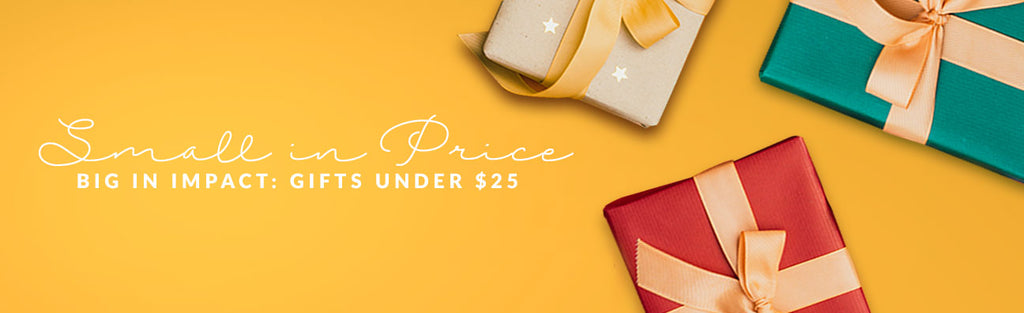 Small in price, Big in Impact: Gifts Under $25